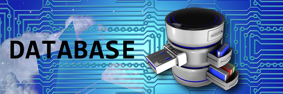 DBMS storage structures