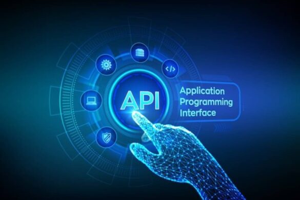 APIs: The Keys to the Kingdom for Hungry Application Developers