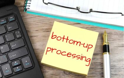 How to Integrate Bottom Up Processing Into Your Organization