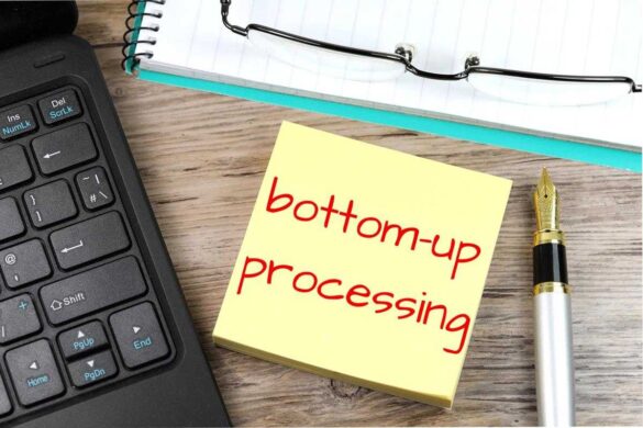 How to Integrate Bottom Up Processing Into Your Organization